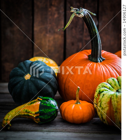 Colorful pumpkins on wooden background 14906127