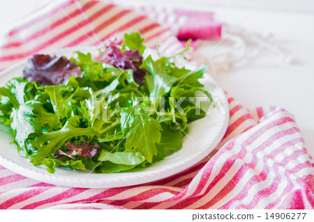 Healthy salad Healthy salad 14906277