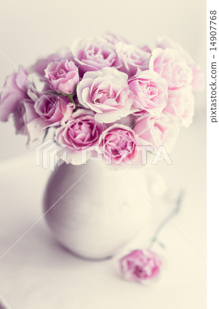 Pastel roses 14907768