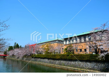 Kyoto Okazaki cherry blossoming spring landscape 14908402