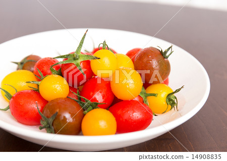  Mini Tomato 14908835