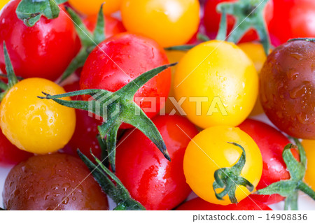  櫻桃西紅柿 14908836