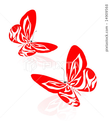 beauty butterflies beauty butterflies 14909568