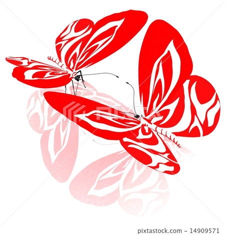 beauty butterflies beauty butterflies 14909571