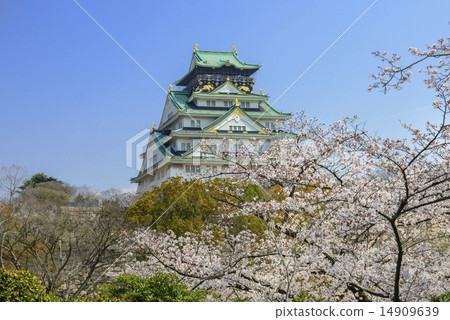 春天的大阪城 14909639
