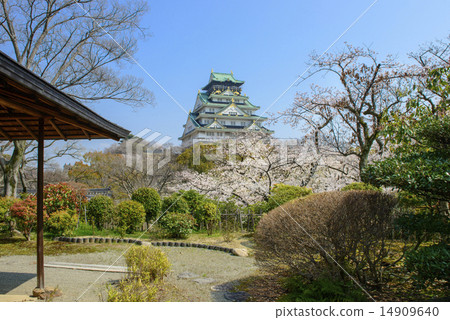 春天大阪城Nishinomaru花園 14909640