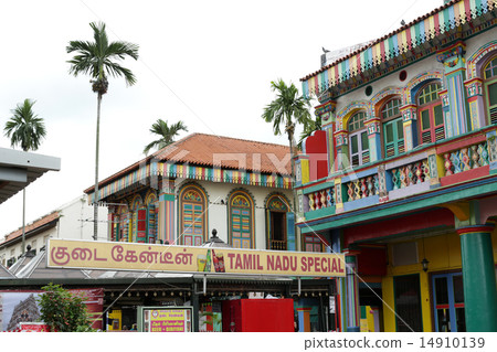 Singapore Little India 14910139