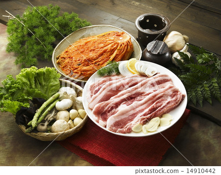 Korean Style Pork Barbecue Korean Style Pork Barbecue 14910442