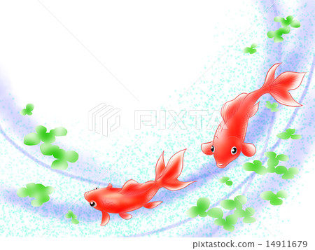 Cute goldfish 01 14911679