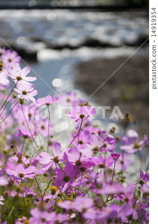 Yufuin Yufuin 14919354