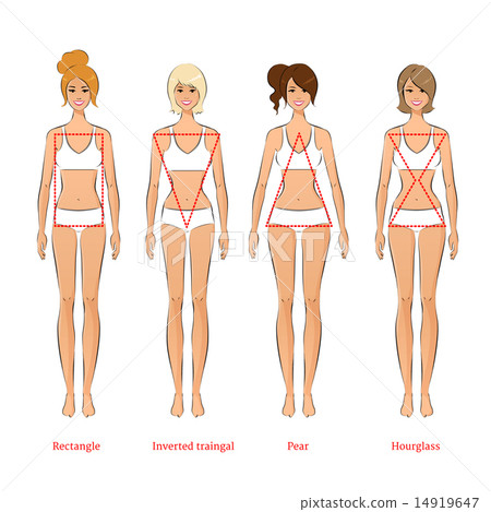 Female body types. Female body types. 14919647