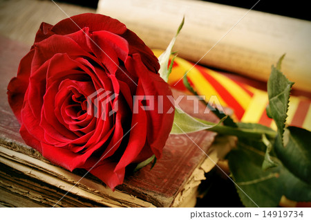 book, red rose and catalan flag for Sant Jordi 14919734