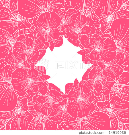 Pink and white orchid frame 14919986