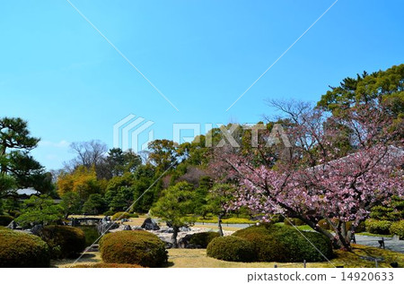 Nijojyo Shimizuen 14920633