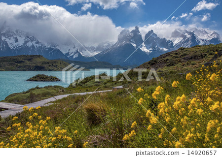 Torres del Paine - Patagonia - Chile 14920657