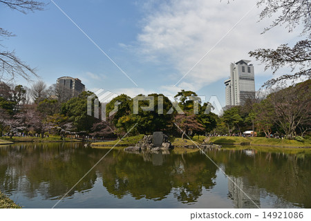 小石川花園 14921086