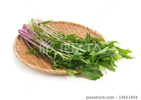 紅水木照片素材（圖片） [14921804] PIXTA圖庫