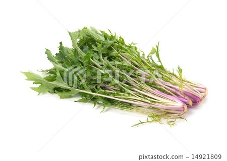 Red Mizuki Red Mizuki 14921809