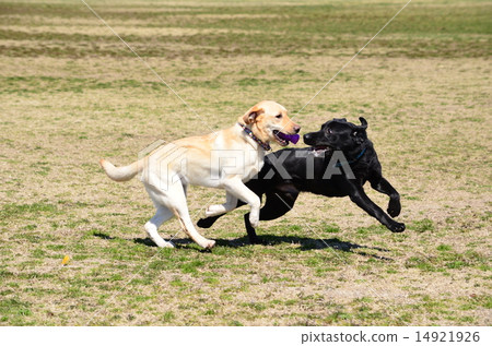 等等，等等〜♪ 14921926