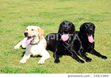 I played a lot ♪ 14921969