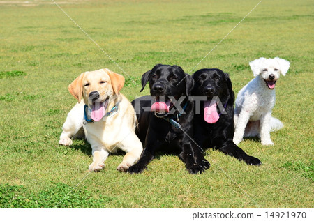 Group photo ♪ 14921970