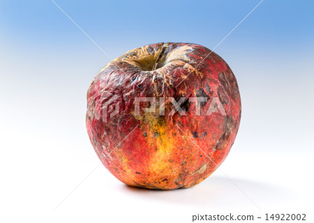 Old rotten apple 14922002