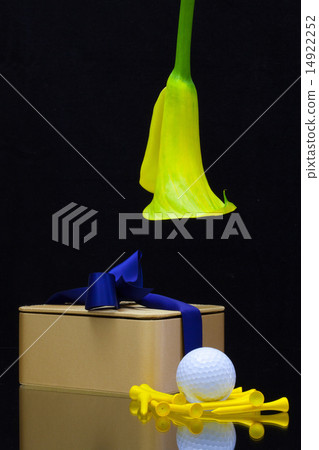 Yellow calla lily and gift on a black  background 14922252