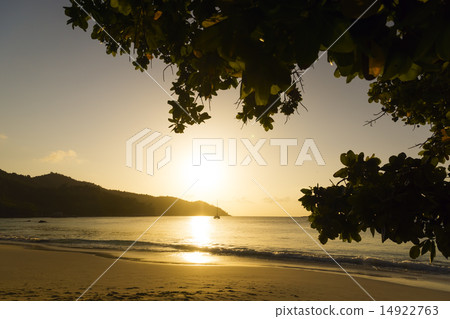 Mahe island, Seychelles. Sunset beach. Palms. 14922763