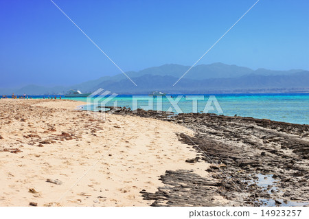 Coral reef of a Red Sea 14923257