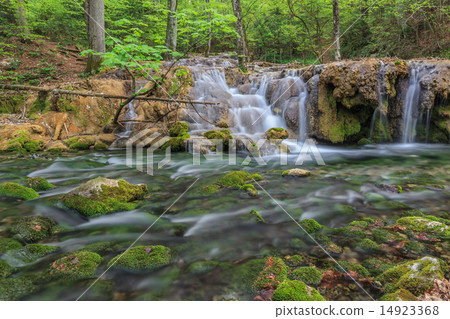 Beusnita stream, Romania 14923368