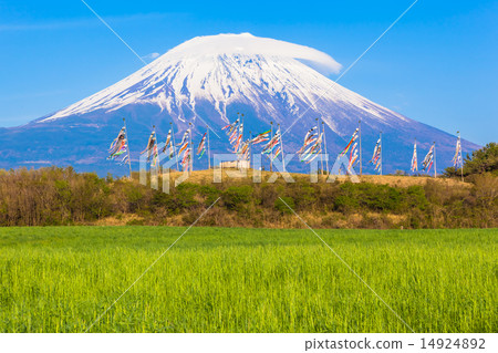 Fuji and carp streamers 14924892