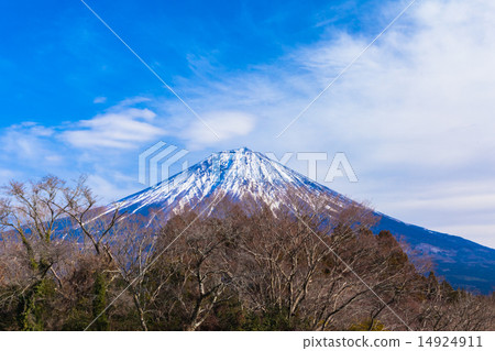 森林和富士山 森林和富士山 14924911
