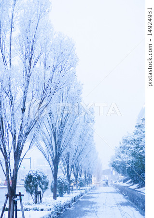 Snow, snowy landscape, snow makeup 14924931