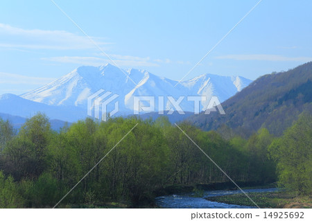 Fresh green and snowy mountains 14925692