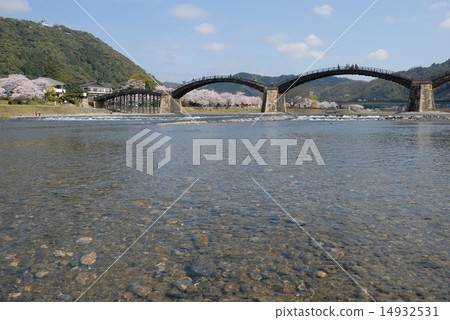 Kintai-kyo橋（春天，櫻花盛開） 14932531