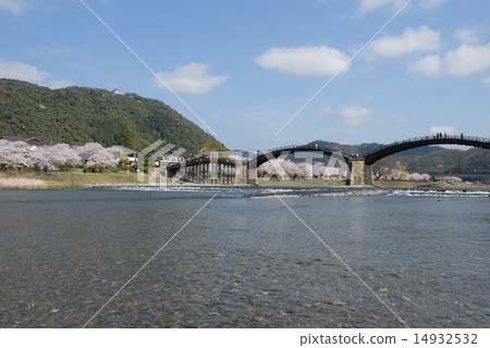 Kintai-kyo橋（春天，櫻花盛開） 14932532