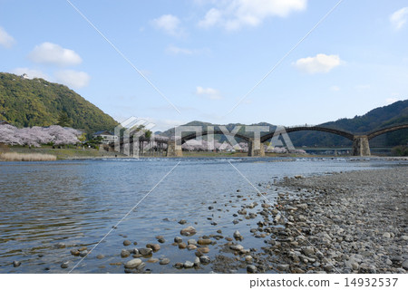 Kintai-kyo橋（春天，櫻花盛開） 14932537
