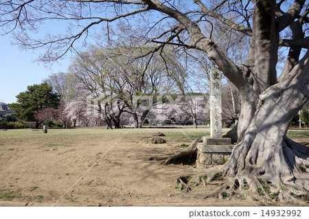 武藏國分寺近藤遺跡(維修前) 武藏國分寺近藤遺跡(維修前) 14932992