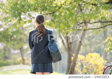 新鮮的綠色和學生 新鮮的綠色和學生 14933853