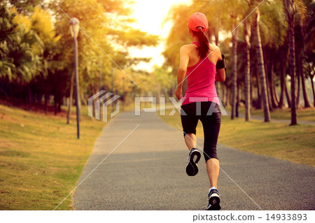 runner athlete running at tropical park 14933893