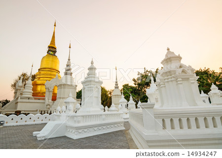 The golden pagoda at Suan Dok Temple , Thailand. The golden pagoda at Suan Dok Temple , Thailand. 14934247