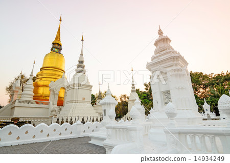 The golden pagoda at Suan Dok Temple , Thailand. The golden pagoda at Suan Dok Temple , Thailand. 14934249
