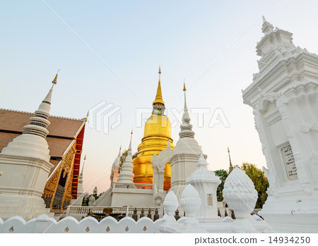 The golden pagoda at Suan Dok Temple , Thailand. The golden pagoda at Suan Dok Temple , Thailand. 14934250