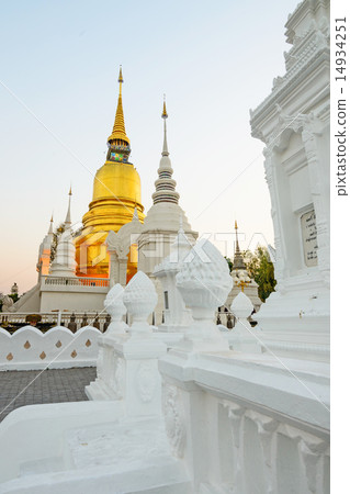 The golden pagoda at Suan Dok Temple , Thailand. The golden pagoda at Suan Dok Temple , Thailand. 14934251