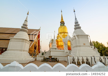 The golden pagoda at Suan Dok Temple , Thailand. The golden pagoda at Suan Dok Temple , Thailand. 14934252