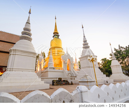The golden pagoda at Suan Dok Temple , Thailand. The golden pagoda at Suan Dok Temple , Thailand. 14934256