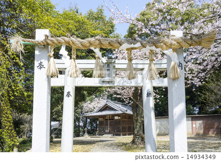 Kumano Shrine 14934349
