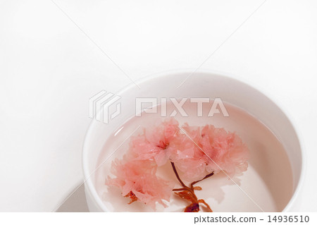 Celebration · Sakura tea 14936510