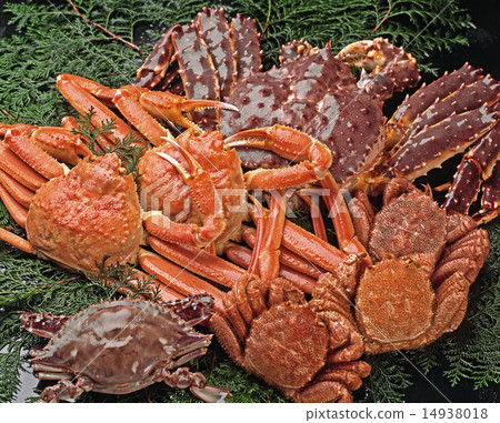 螃蟹套 螃蟹套 14938018