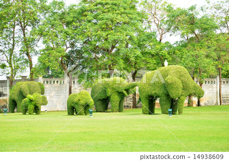 The green elephant tree in Bang Pa-In palace 14938609